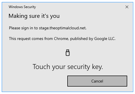 Security Key Make Sure It's you